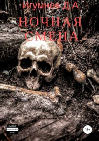 Постер к Ночная смена - Денис Игумнов
