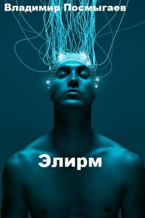 Владимир Посмыгаев. Цикл книг - Элирм
