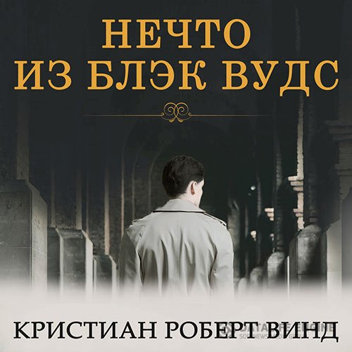 Винд Кристиан Роберт - Нечто из Блэк Вудс (Аудиокнига)