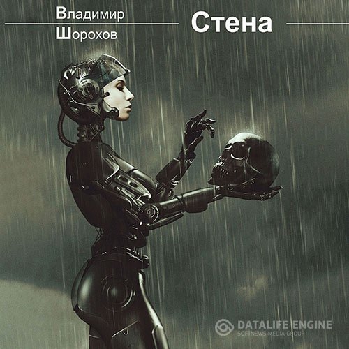 Владимир Шорохов - Стена (Аудиокнига)