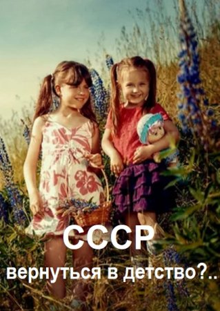 Владимир и Ольга Войлошниковы. Цикл книг - СССР: вернуться в детство