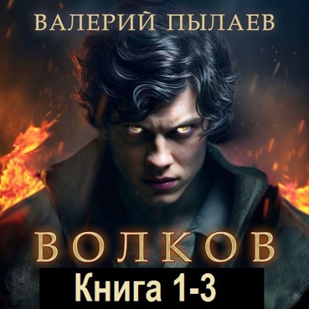Валерий Пылаев - Волков. Книга 1-3 (Аудиокнига)